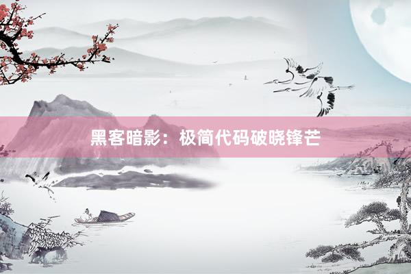 黑客暗影：极简代码破晓锋芒