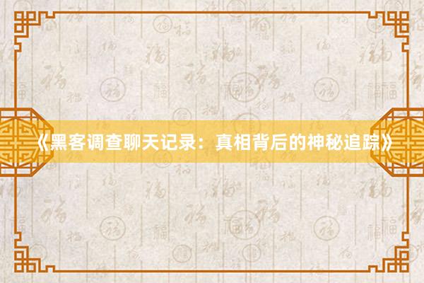 《黑客调查聊天记录：真相背后的神秘追踪》